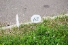 20120607_ (115)